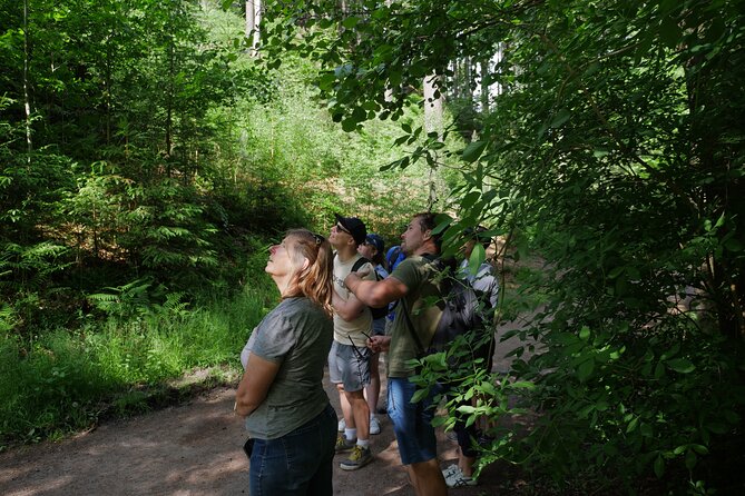 3 in 1 Tour Brewery & Castle in Bohemian Paradise Unesco Geopark - Two Hours Inside the Prachov Rocks