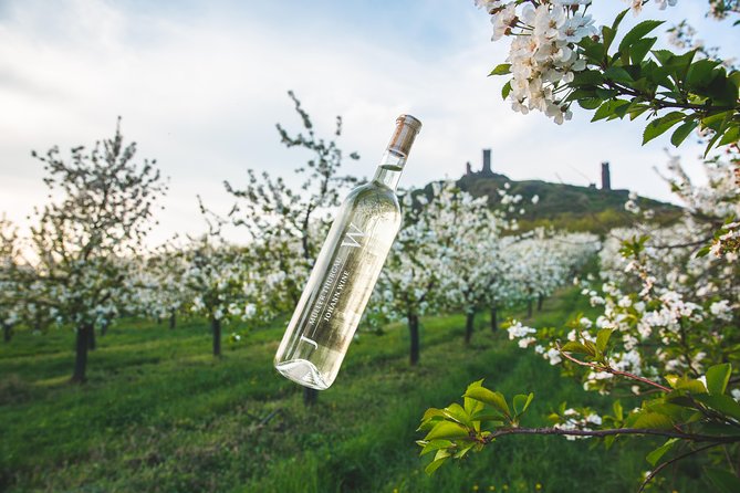 A delightful wine tasting in the scenic countryside with lunch - What makes this outing different