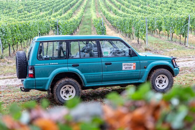 A delightful wine tasting in the scenic countryside with lunch - Who should book this wine day?