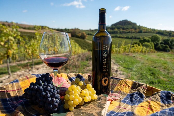 A delightful wine tasting in the scenic countryside with lunch - Vineyards with volcanic hills in the distance