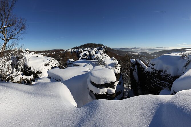 Bohemian Switzerland From Prague with Brewery Tour & Beer Tasting - Food, beer, and practical comfort