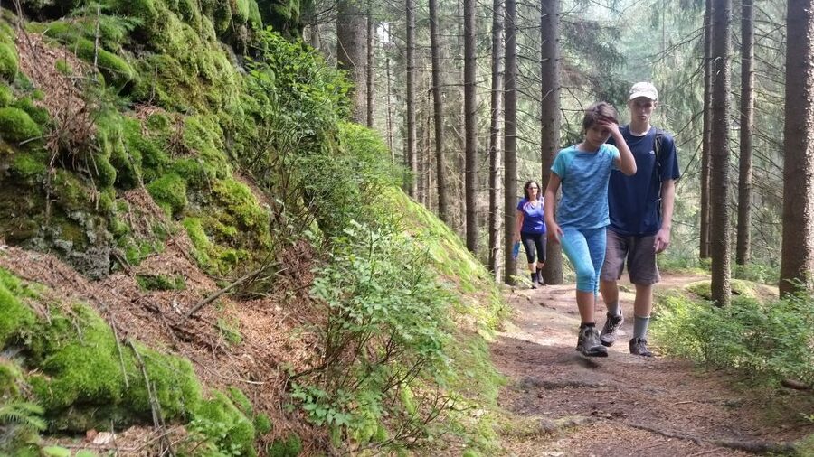 Bohemian Switzerland: Private Day Trip from Prague - Key points at a glance