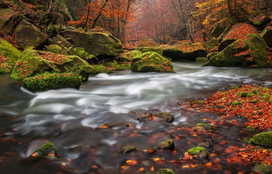 Bohemian Switzerland: Private Day Trip from Prague - Why this private day trip works
