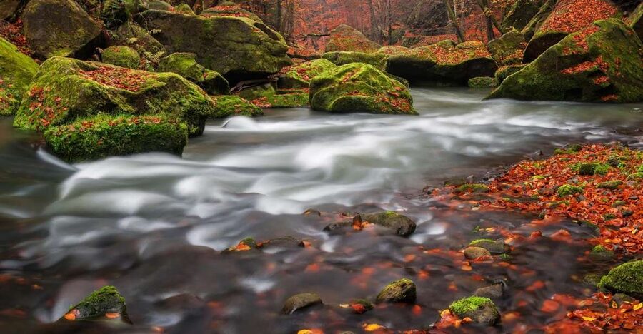 Bohemian Switzerland: Private Day Trip from Prague - The short river cruise