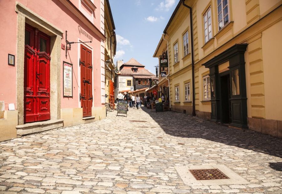 Bone Church and Kutna Hora Private Tour from Prague - Who should book this Kutna Hora tour