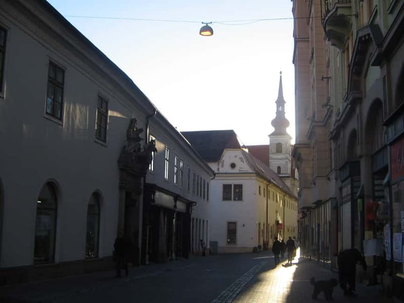 Brno: Historic Downtown Walking Tour - New Town Hall, House of the Noblemen of Leipa, and St. James