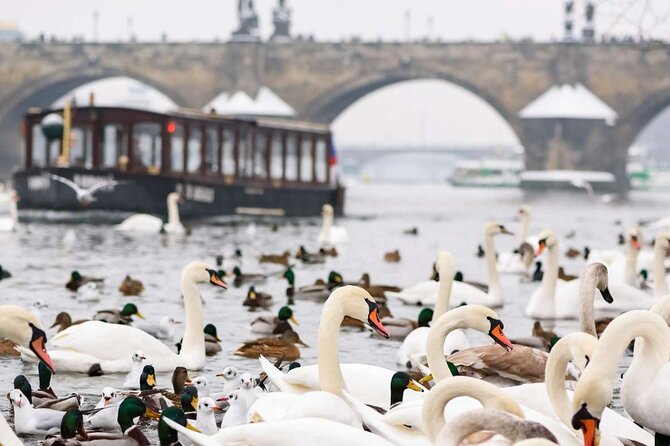 Charles Bridge: River Boat Cruise & Guided Tour ️with PragueWay - Crossing Charles Bridge with a guide