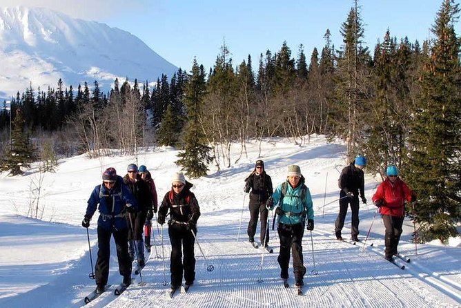 Cross-Country Skiing Guided Tour From Prague - Patient instruction for beginners and mixed groups