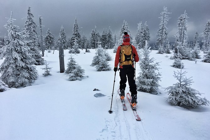 Cross-Country Skiing Guided Tour From Prague - Lunch in Liberec adds comfort to the day