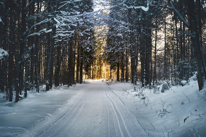 Cross-Country Skiing Guided Tour From Prague - Who will get the most from this day