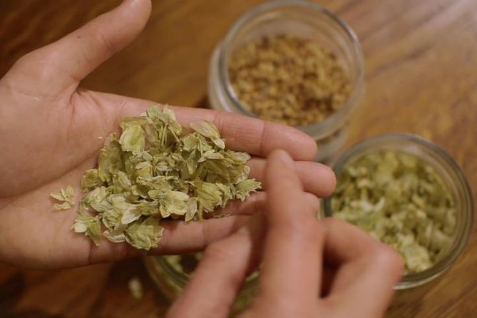 Czech Beer Tasting Experience - Seven Czech beers, one useful lesson