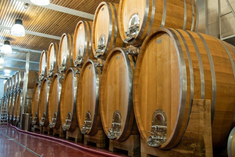Czech Vineyards and Wine Tasting 4WD Tour with Lunch - Vineyards, volcanic hills, and five Gothic castles