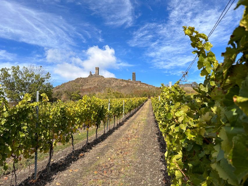 Czech Vineyards and Wine Tasting 4WD Tour with Lunch - A Jewish cemetery among the vines