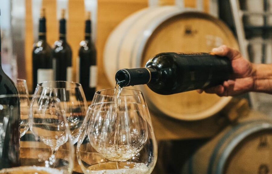 Czech Vineyards and Wine Tasting 4WD Tour with Lunch - A relaxed day rather than a packed sightseeing race