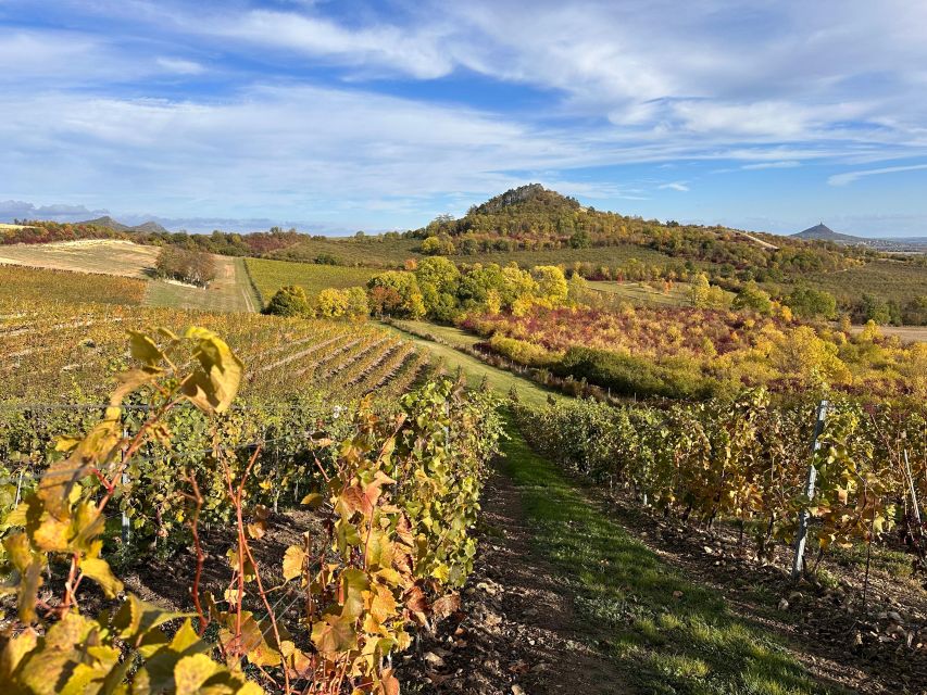 Czech Vineyards and Wine Tasting 4WD Tour with Lunch - Is $387 a fair price?