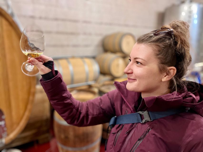 Czech Vineyards and Wine Tasting 4WD Tour with Lunch - Třebívlice and a wine tradition dating to 1057