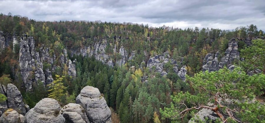 Day trip from Prague to Bohemian and Saxon Switzerland - Lunch, transport, and the shape of the day