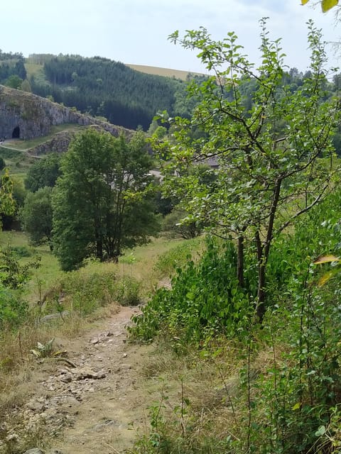Discover Moravian Karst: Seven Stops, One Tailored Tour - From Brno hotels into the Moravian Karst