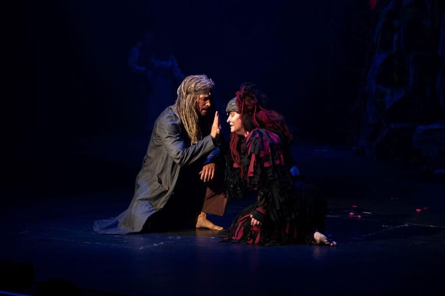 Disney's Tarzan Musical - Is the $72 ticket good value?