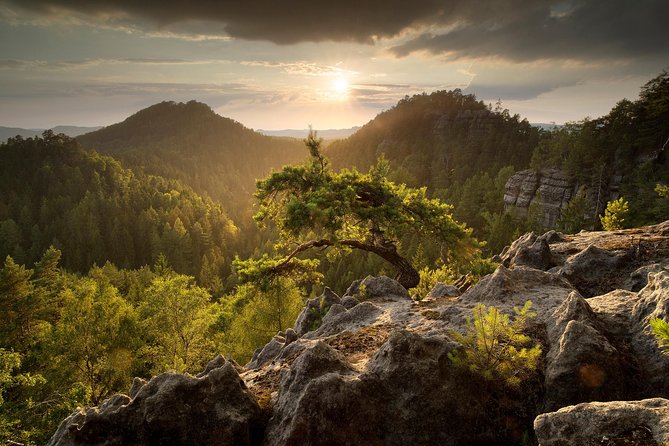 Elbe Canyon & Narnia Movie Locations Day Trip - Is $190.67 good value?