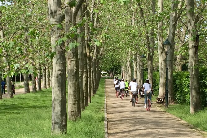 Exceptional Private Prague bike tour - Rudolfinum and the return through the center
