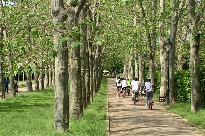 FAT TIRE E-BIKE GREAT TOUR - river, parks & panoramic views tour - Key points to know before booking