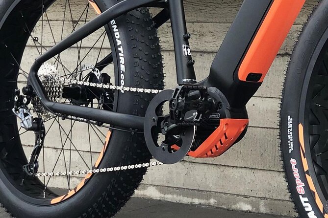 FAT TIRE E-BIKE GREAT TOUR - river, parks & panoramic views tour - What the guides add to the ride