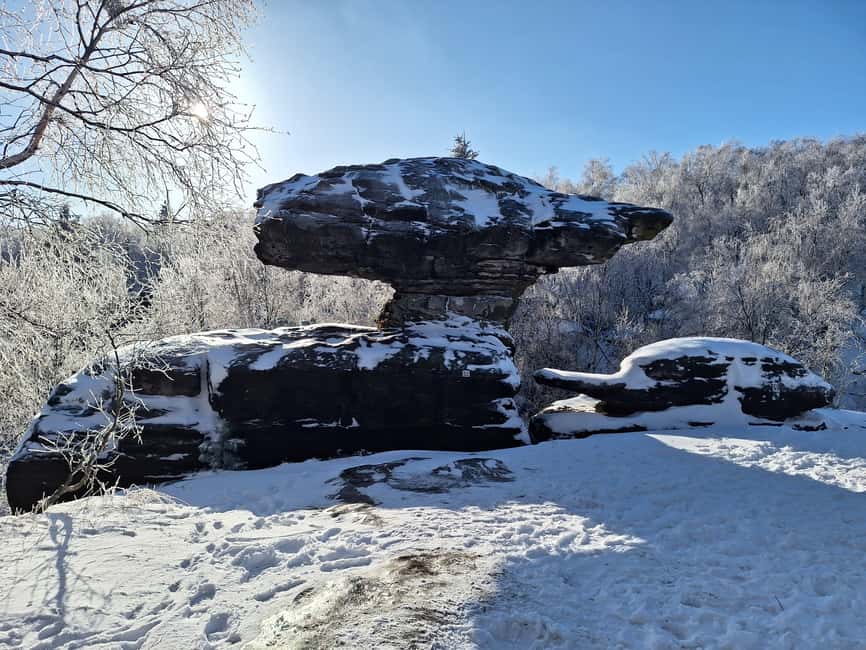 From Dresden: Bastei Bridge & Bohemian Switzerland Day Trip - Tisa or Kamenice Gorge: clarify the afternoon plan
