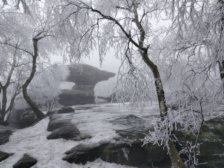 From Prague: Bohemian & Saxon Switzerland Iconic Day Trip - Tisa Rocks: the day’s most atmospheric walk