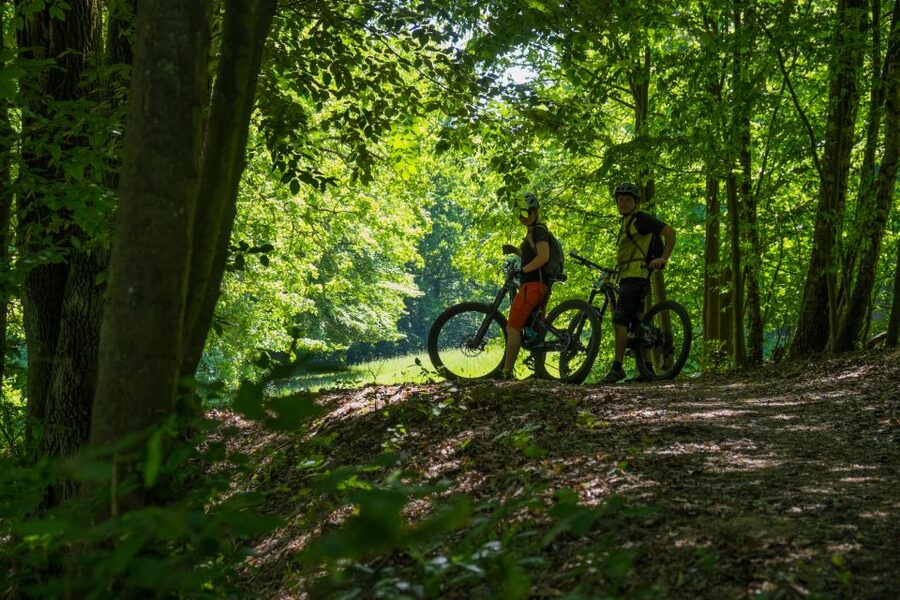 From Prague: E-Mountain Biking Trip to the Bohemian Paradise - The downhill to Nebakov and the midday break