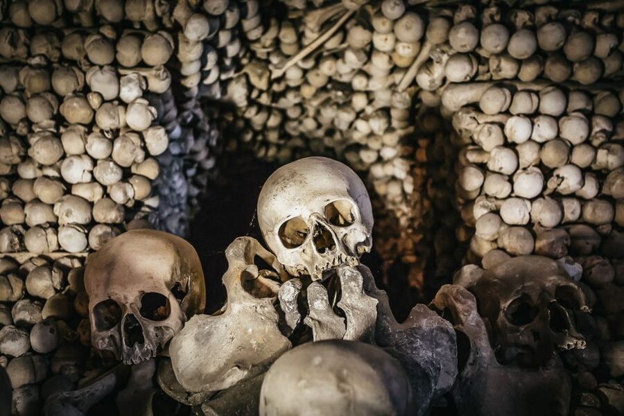 From Prague: Kutna Hora and Bone Chapel Tour - St. Barbara’s Church and Kutná Hora’s silver wealth