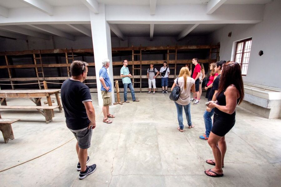 From Prague: Terezin Concentration Camp Tour - Language, group size, and the pace of the day