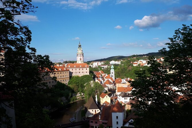 Full Day Cesky Krumlov Private Tour from Prague - The main square, souvenirs, and lunch