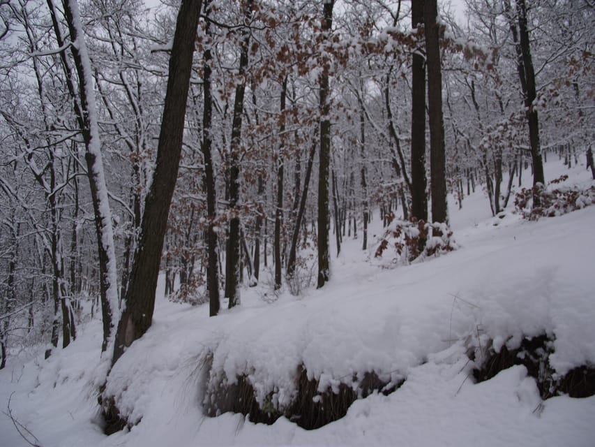 Get to know South Moravia with us. 6 hour tour. - What Roman’s local guiding adds
