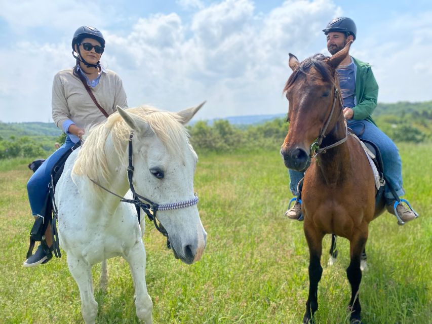 Horseback riding tour near Prague - Why the horse welfare details matter