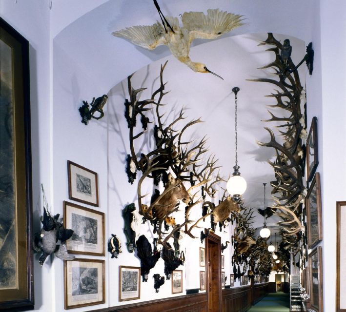 Konopiště: Chateau Tour from Prague - The most important issue: live guide or audio guide