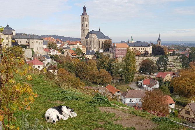 Kutná Hora and Bone church - private tour with PERSONAL PRAGUE GUIDE - Seeing Santini-Aichl’s cathedral from the attic