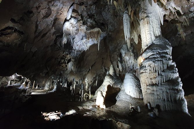 Moravian Carst And Brno Private Tour From Prague - What the guide adds to the day