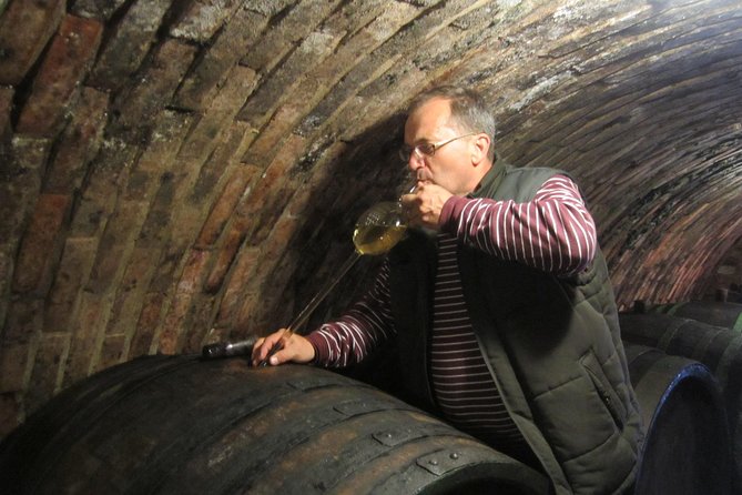 Moravian wine trails - Lednice: gardens, architecture, and the Liechtenstein story