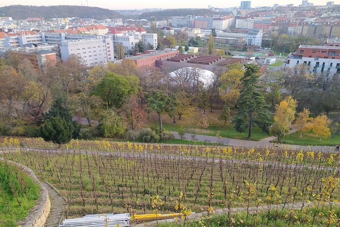 Non-touristy Prague - Cozy Neighborhoods - Private Tour - Grébovka: vineyards inside a city park