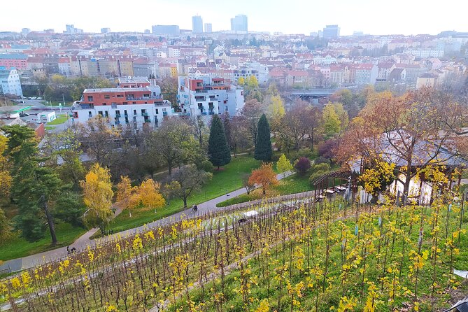 Non-touristy Prague - Cozy Neighborhoods - Private Tour - Public transportation, pickup, and the private format