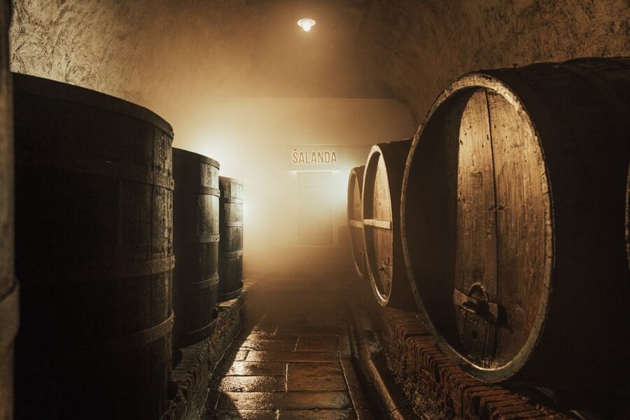 Pilsen: Pilsner Urquell Brewery Tour with Beer Tasting - Food, shopping, and extending your visit
