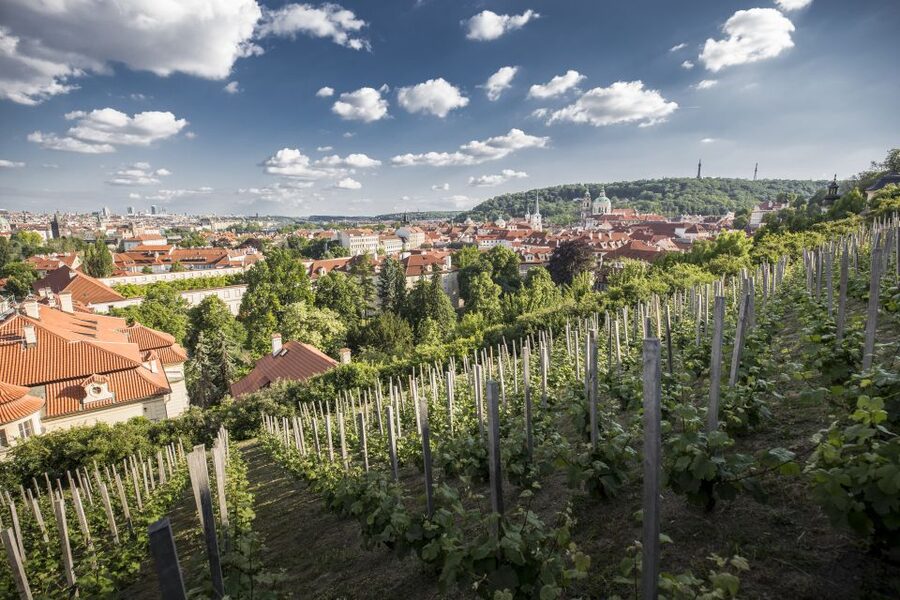Prague: 3–Hour Castle Grounds Walking Tour and River Cruise - Walking across Charles Bridge to Kampa Island