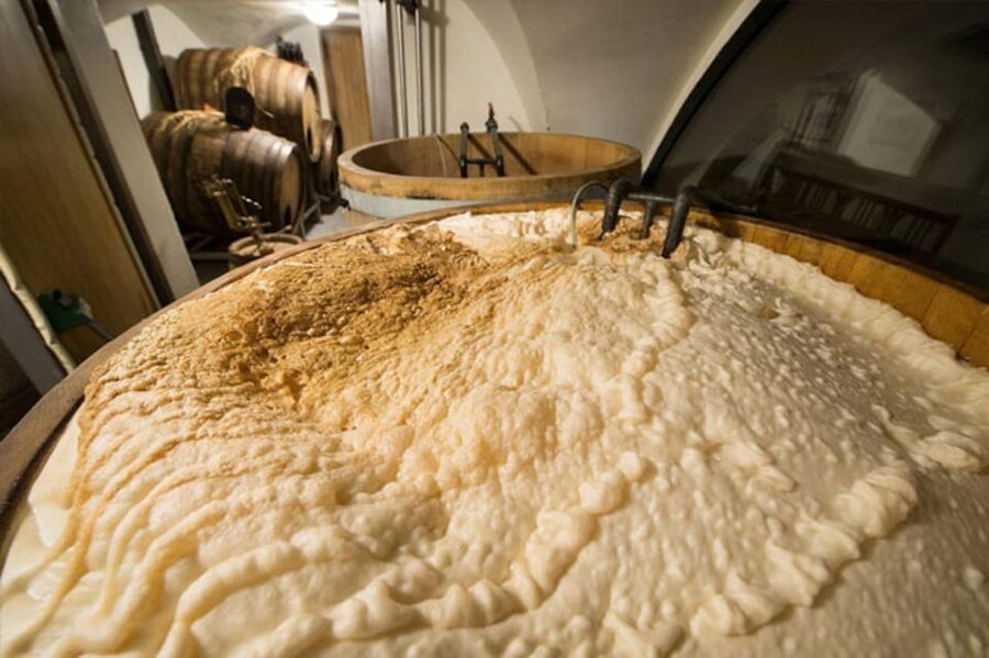 Prague: Beer Tasting and Brewery Tour - A short stop at New Town Hall