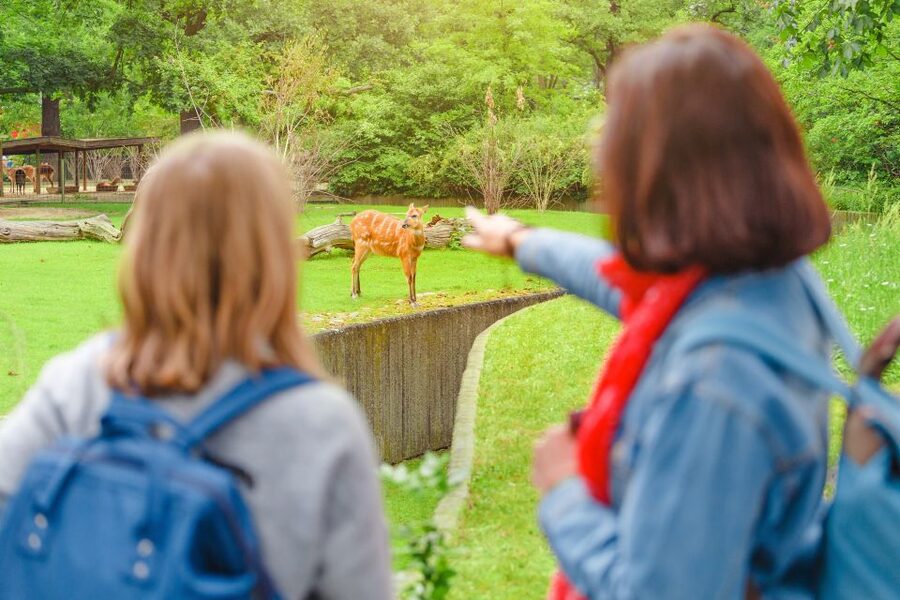 Prague: Boat Ride to the Zoo and Admission Ticket - How much time you need at the zoo