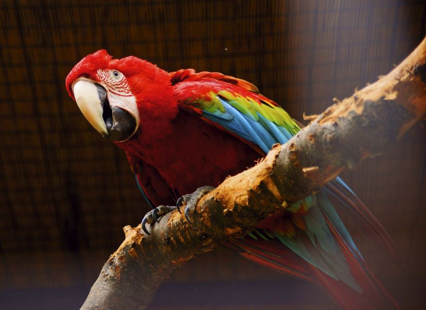 Prague: Boat Ride to the Zoo and Admission Ticket - Is $74 a fair price?