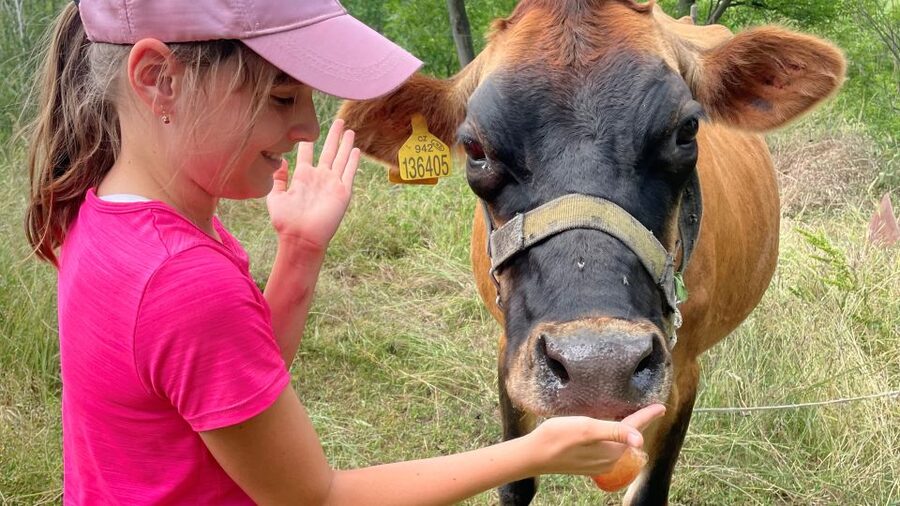 Prague: Bohemian Uplands Garnet Panning&Animal Farm 4WD Tour - Who will enjoy this day most