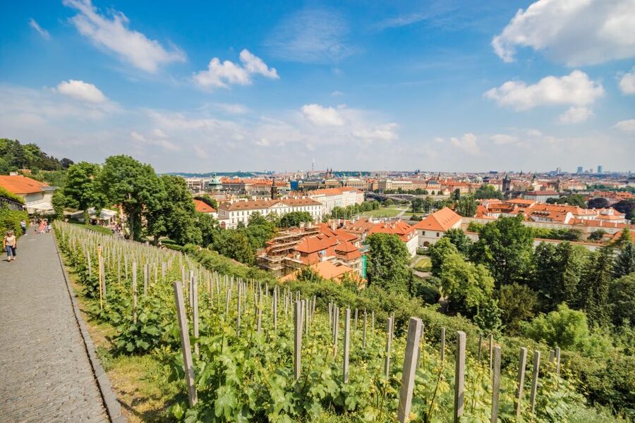 Prague Castle 2.5-Hour Tour Including Admission Ticket - St. Vitus Cathedral: The Tour’s Main Interior
