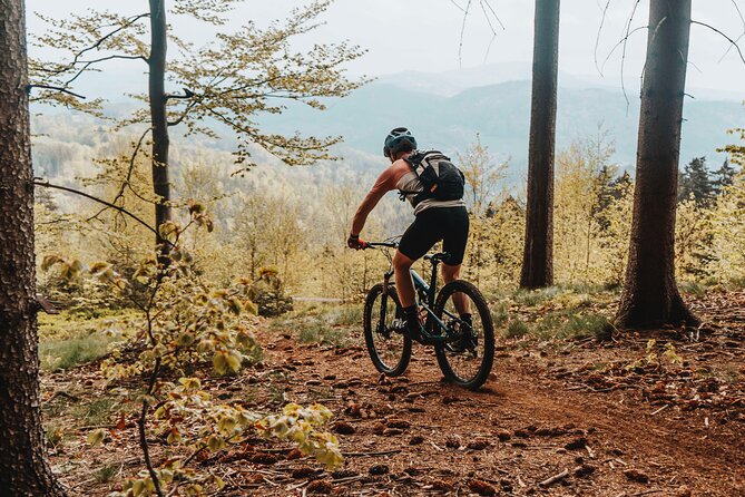 Prague E-Mountain Biking Adventure In The Bohemian Paradise - What the e-mountain bike changes