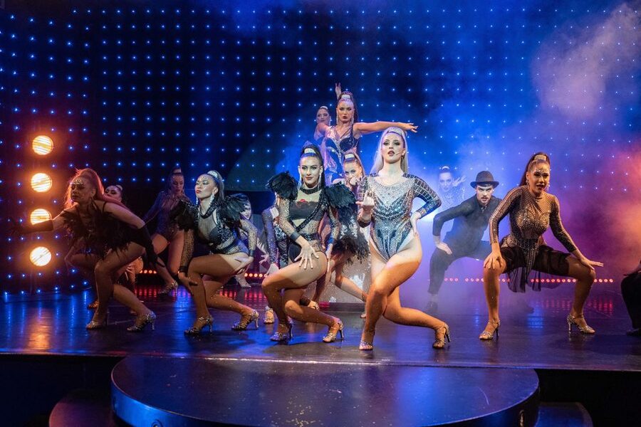 Prague: Evening Czech Cabaret Show at the Hybernia Theater - Who will enjoy this show most